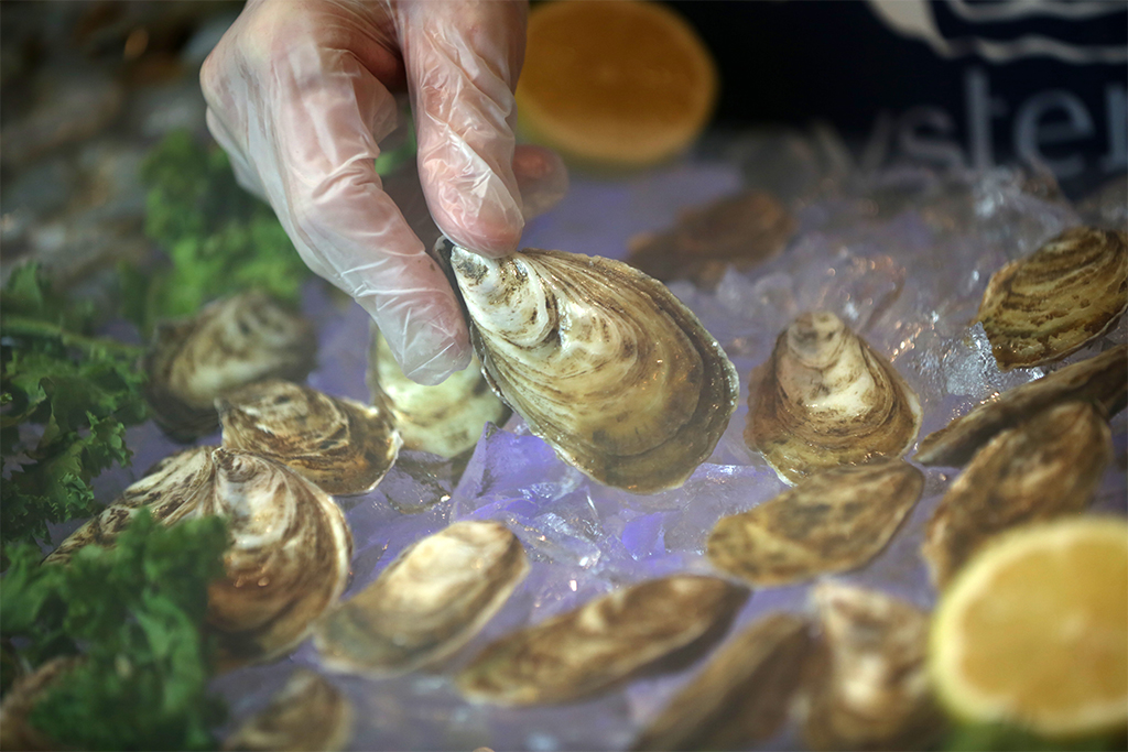 Oysters from Billy's Seafood in Saint John, New Brunswick